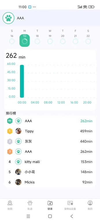 Activity dashboard showing 262 minutes for Tuesday and a leaderboard of pets’ activity times