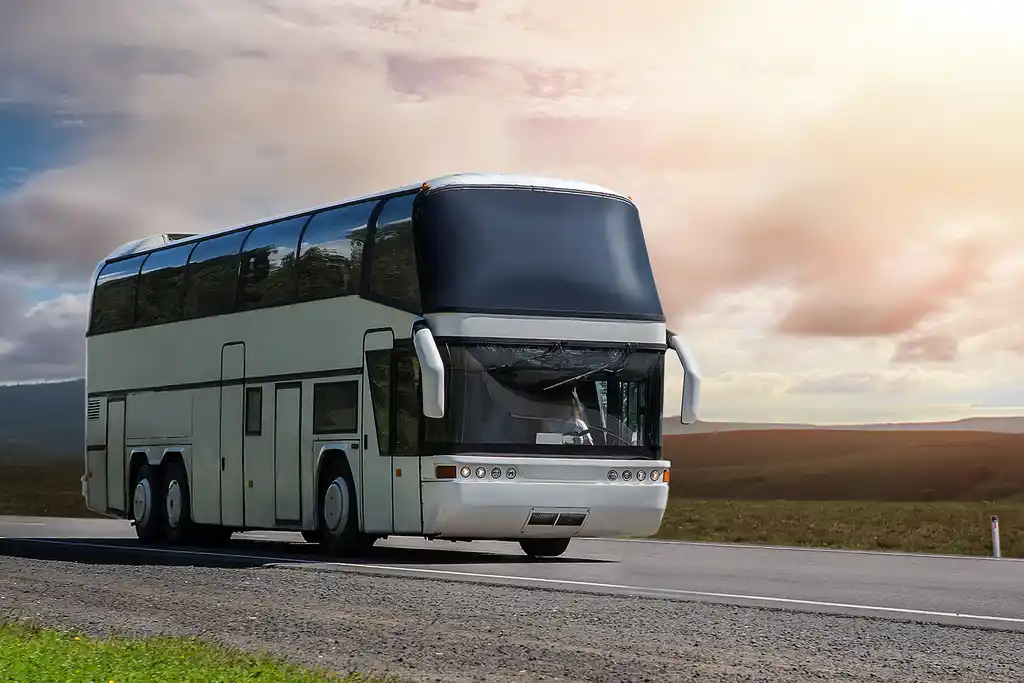 Public Buses