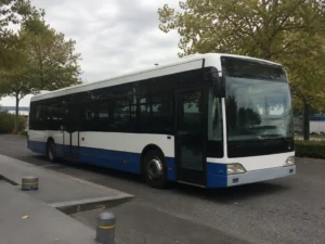 A white-and-blue city bus parked along a tree-lined street