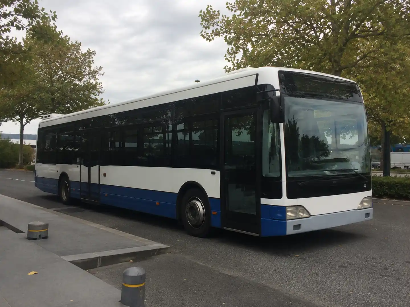 A white-and-blue city bus parked along a tree-lined street